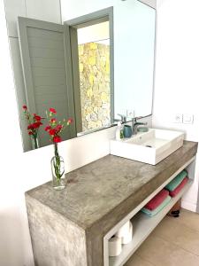 a bathroom with a sink and a mirror at Villa koki Bonheur in Grand-Baie +17 photos