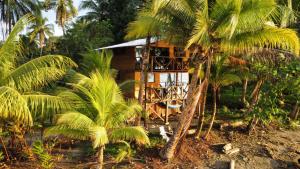a small wooden house in the middle of palm trees at Popochos Beach Eco Lodge in Nuquí