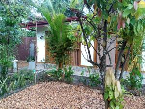 a house in the middle of a garden at Nature villas Bentota in Bentota +6 photos