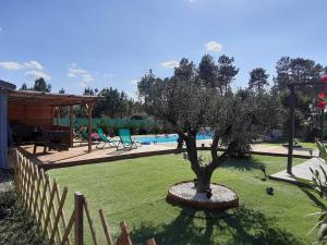 a tree in the middle of a yard with a pool at Maison à Escource avec Jardin et Accès Forêt - FR-1-50-166 in Escource +6 photos