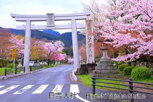 アパートメントの近くで見られる自然の景観