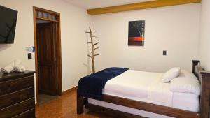 a bedroom with a bed and a dresser and a television at Hotel Shaddai in Filandia