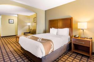 Quality Inn & Suites Georgetown - Seaford客房内的一张或多张床位