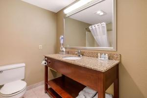 乔治城Quality Inn & Suites Georgetown - Seaford的带水槽、马桶和镜子的浴室