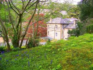 Κήπος έξω από το The Eversley B&B