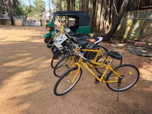 Attività di ciclismo presso l'hotel o nelle vicinanze