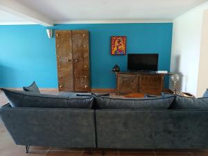 a living room with a couch and a blue wall at Maison piscine et pkg privés en Petite Camargue in Beauvoisin