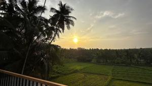 a sunset over a field with a palm tree at Izzath in Kottakkal