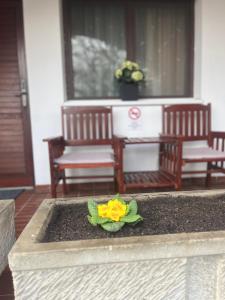 Fotografija u galeriji objekta Hotel Oswaldo u Budimpešti