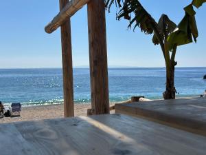 Paisatge natural a prop de l'apartament