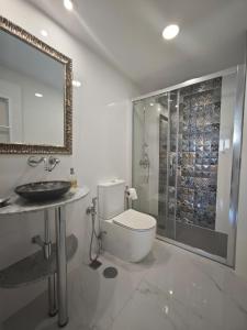 ein Badezimmer mit Toilette, Waschbecken und Dusche in der Unterkunft complete luxury house with garden in Madrid