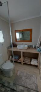 un bagno con lavandino, water e specchio di Amanda's Place a Hermanus