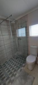 un bagno con wc e doccia di Amanda's Place a Hermanus