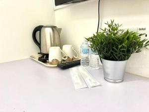 a kitchen counter with a coffee maker and a potted plant at Melaka Stay in Malacca