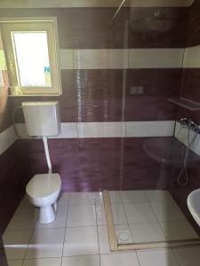 een badkamer met toilet en wastafel bij Vuk - Ada Bojana in Ulcinj