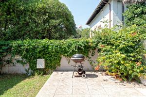 Gallery image of Windrose Honey Home in Tirrenia