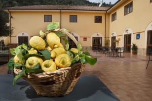 a basket of fruit sitting on top of a table at Agriturismo Villa Orchidea in Alì Terme