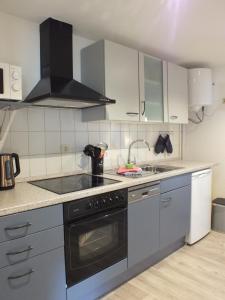 a kitchen with a stove and a sink at Ferienpark Buntspecht Bungalow 7 in Pruchten
