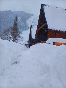 Panorama cottages in Sno v zimě