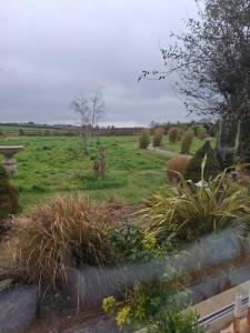 Garður fyrir utan Deeside Manor