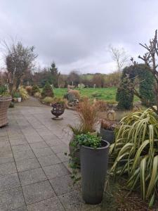 Garður fyrir utan Deeside Manor