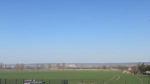 a green field with a bench in the middle at Ferienwohnung alte Schule in Kaiserpfalz