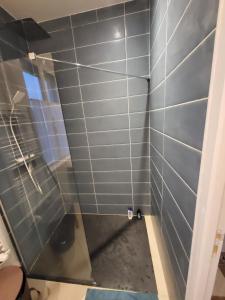a shower with a glass door in a bathroom at Maison Plestin proche plage et GR 34 avec Jardin in Plestin-les-Grèves