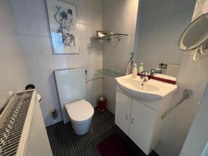 a small bathroom with a sink and a toilet at Hus Sylroede 37 in Lemmer +49 photos