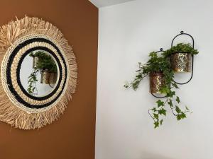a wicker mirror and potted plants on a wall at Au repos du Vicomte in Cockaifagne