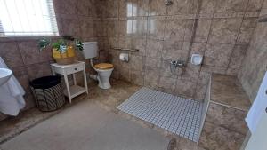 a bathroom with a shower with a toilet and a sink at Pangolin Overnight Self-catering Accommodation cc in Windhoek