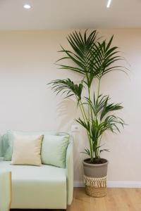 a living room with a couch and a palm tree at Arial Lofts in Vlorë