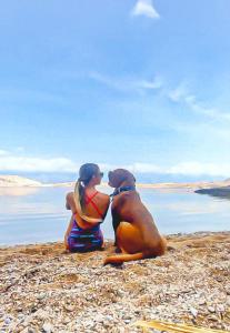 Hostia v ubytovaní Mila Pet friendly holiday house with private place on the beach