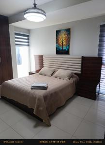 a bedroom with a bed with a painting on the wall at Hermoso Apartamento de 2 habitaciones en Avenida Bush in Santa Cruz de la Sierra