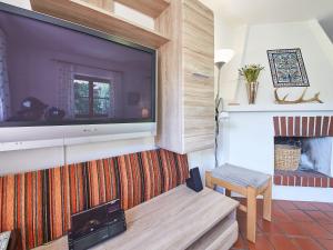 TV a/nebo společenská místnost v ubytování Chalet Felix by we rent