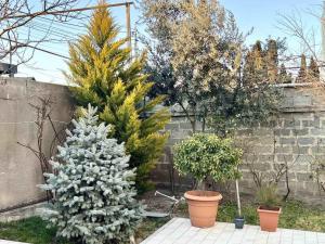 Aed väljaspool majutusasutust Villa in Tbilisi