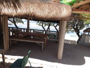 Příroda nedaleko hostelu + 2 fotografie