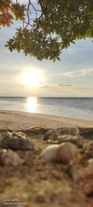 Příroda nedaleko hostelu