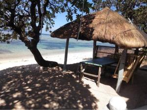 Příroda nedaleko hostelu