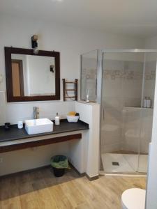a bathroom with a sink and a shower at Bed & Breakfast 'Ngre in Moncrivello +24 photos