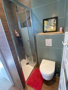 拉西约塔Studio l'Enchantement的带淋浴和卫生间的浴室