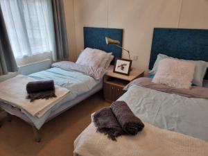 a bedroom with two beds and a lamp on a table at Lodge with a stunning view in Beattock