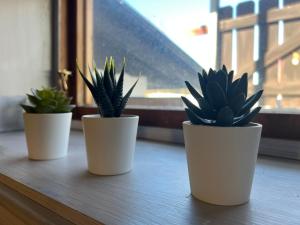Gallery image of VasaLodge Sälen in Sälen +86 photos