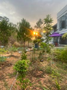 Zahrada ubytování Hotel Hoàng Châu Đà Lạt
