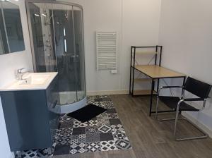 a bathroom with a shower and a sink and a chair at Chez Dani in Château-du-Loir +11 photos