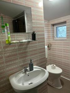 a bathroom with a sink and a toilet at B&B Maria in Bucharest +56 photos