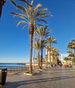 a row of palm trees on a sidewalk next to the beach at Lolena Calas De Torrevieja in Torrevieja