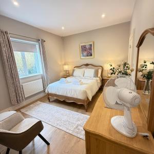 Schlafzimmer mit einem Bett und einem Schreibtisch mit einem Ventilator in der Unterkunft Castle View House - Luxury Vacation Home with Mountain & Sea Views - 5 min walk to Glenbeigh Village - 10 min drive to Rossbeigh Beach & Dooks Golf Course - On the Ring of Kerry-Wild Atlantic Way - 30 minute drive from Muckross House and National Park in Glenbeigh