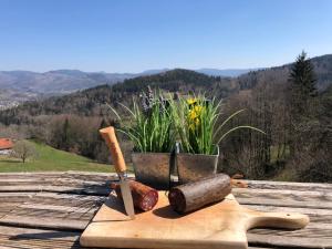 a group of gardening tools sitting on a wooden table at Gîte du dahu barbu in Ramonchamp
