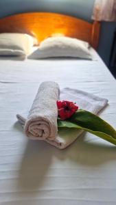 a towel with a red flower on a bed at Maison de vacances Palmier in Sainte-Anne