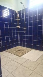 a blue tiled bathroom with a shower at Maison de vacances Palmier in Sainte-Anne +13 photos